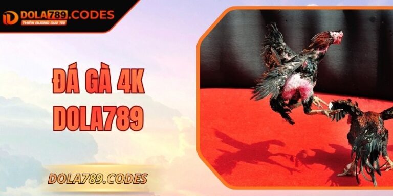 Đá Gà 4K DOLA789 - Trải Nghiệm Cá Cược Với Hình Ảnh Sắc Nét