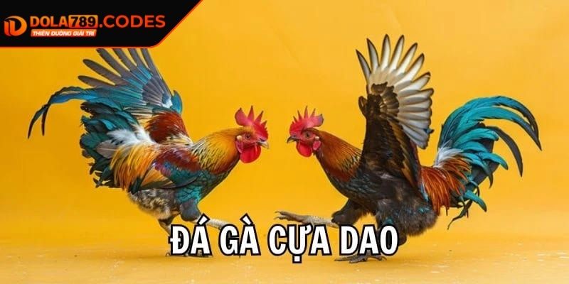 Đá Gà Cựa Dao DOLA789– Kịch Tính Trong Từng Phút Giây 1 Định nghĩa về đá gà cựa dao DOLA789