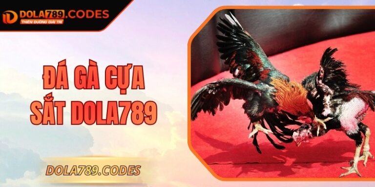 Đá Gà Cựa Sắt DOLA789 - Bí Quyết Thắng Lớn, Hiệu Quả