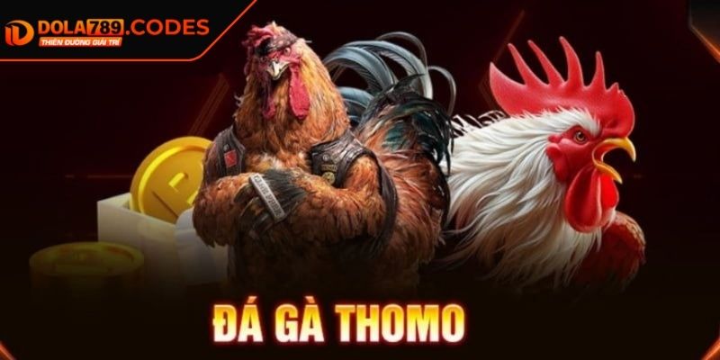 Đá Gà Thomo DOLA789 Thiên Đường Chọi Kê Số 1 Đông Nam Á 1 Thông tin cơ bản về đá gà Thomo DOLA789