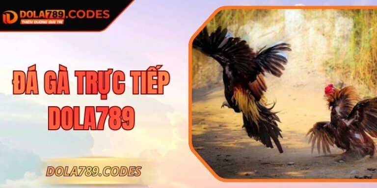 Đá gà trực tiếp DOLA789 - Chiến Trường Đầy Khốc Liệt