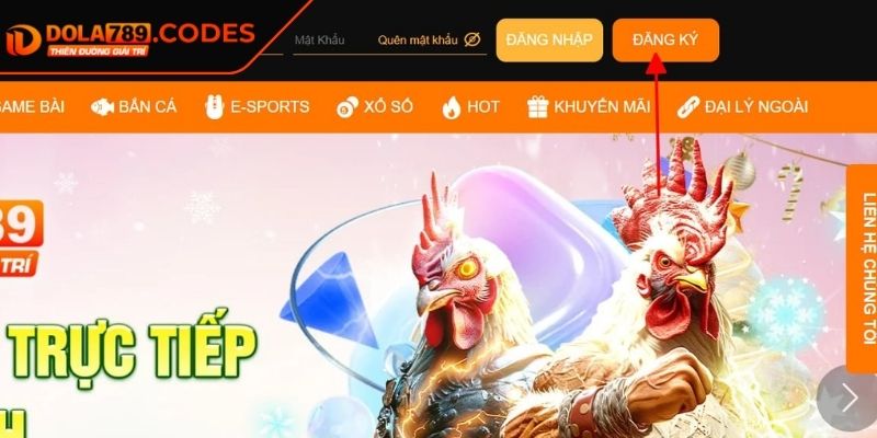 Đăng Ký dola789 3 Lưu ý quan trọng khi tạo account trên web Dola789