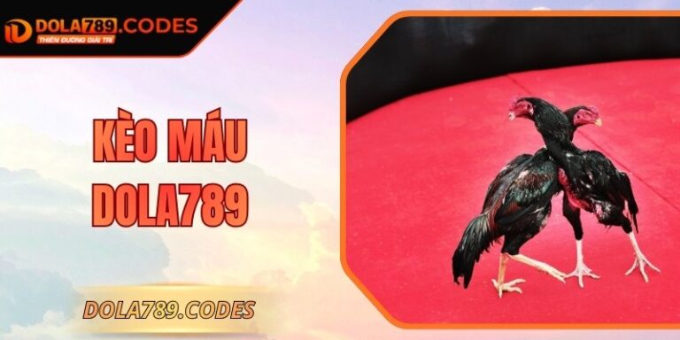 Kèo Máu DOLA789 - Bí Quyết Thắng Lớn Trong Cá Cược Đá Gà