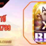 Xì Tố DOLA789 - Cách Chơi Chi Tiết Dành Cho Các Tân Binh